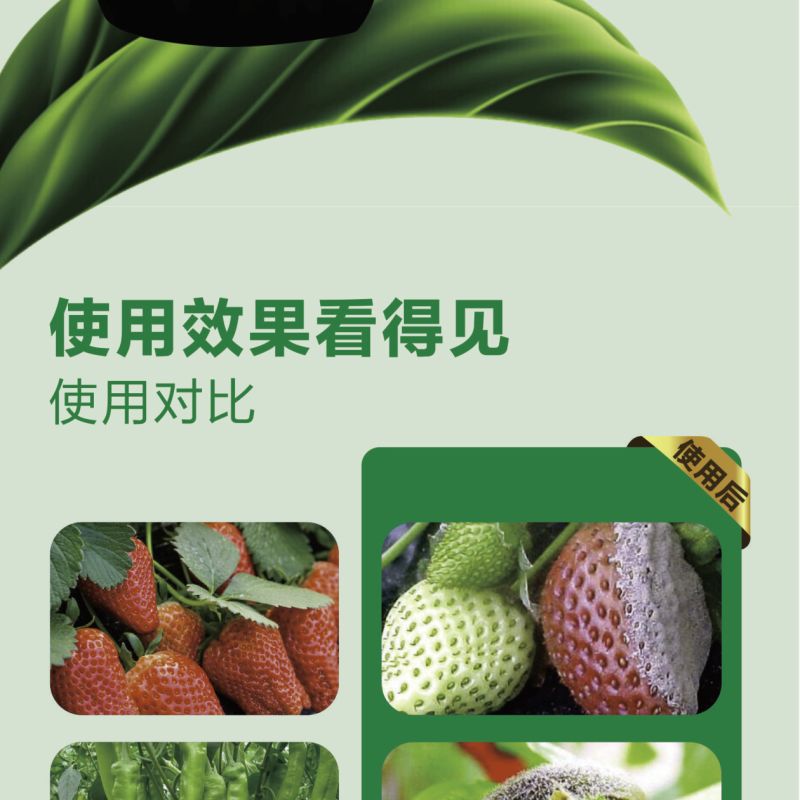 灰风暴微生物菌剂防治灰霉菌核叶霉以菌抑菌提高抗性