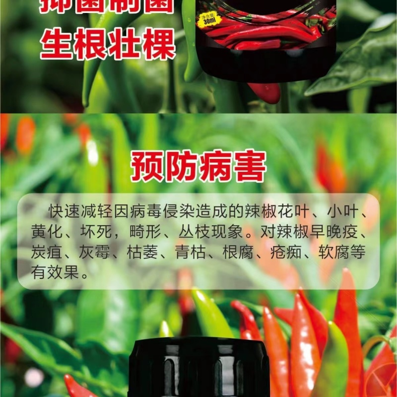 椒立康微生物菌剂辣椒专用肥料提高免疫抑菌治菌包邮