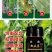 椒立康微生物菌剂辣椒专用肥料提高免疫抑菌治菌包邮