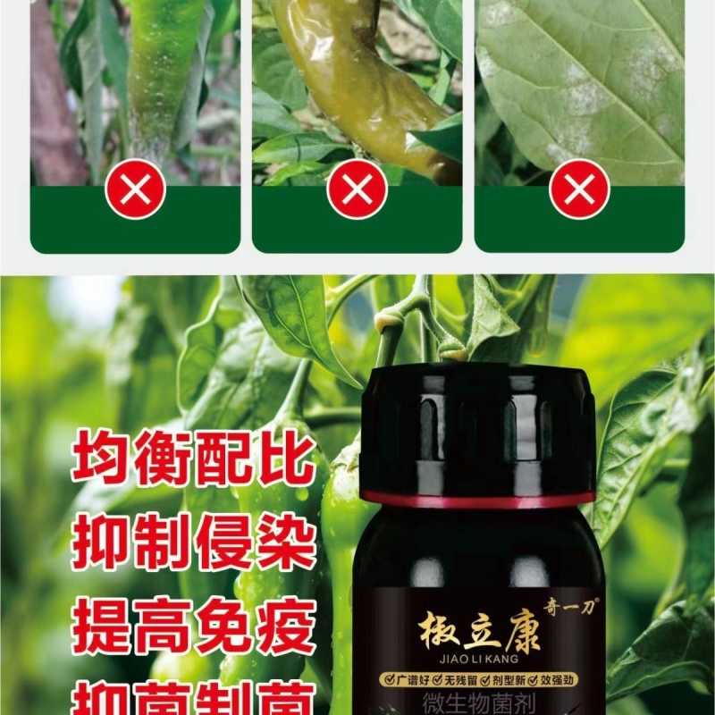 椒立康微生物菌剂辣椒专用肥料提高免疫抑菌治菌包邮