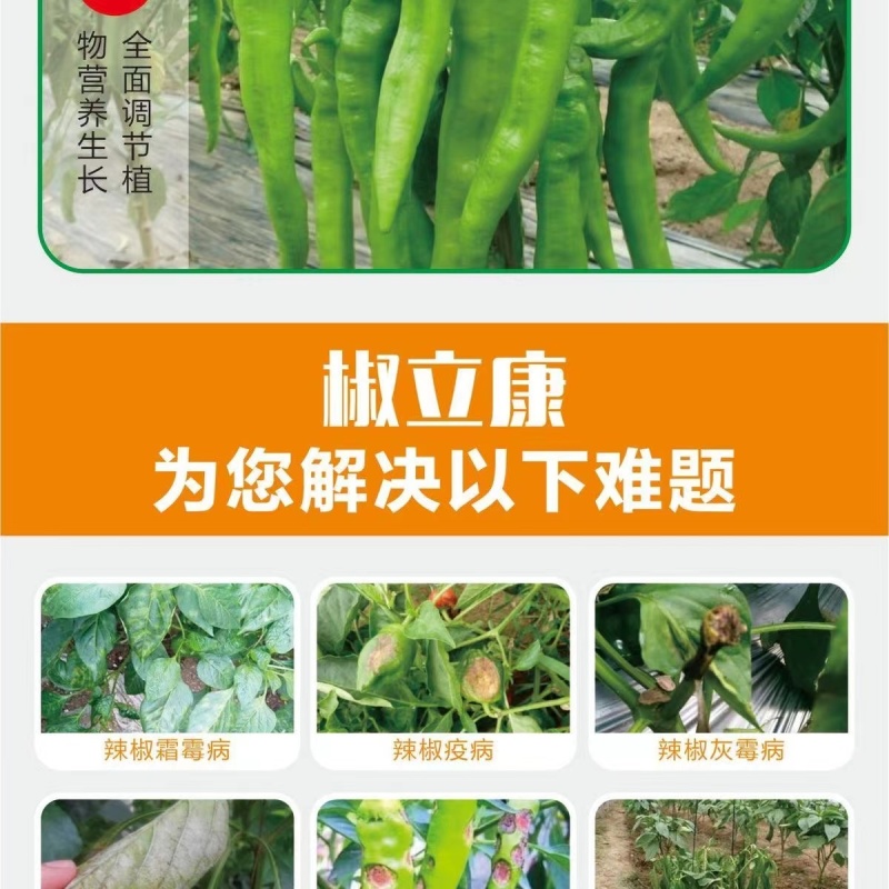 椒立康微生物菌剂辣椒专用肥料提高免疫抑菌治菌包邮
