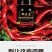椒立康微生物菌剂辣椒专用肥料提高免疫抑菌治菌包邮