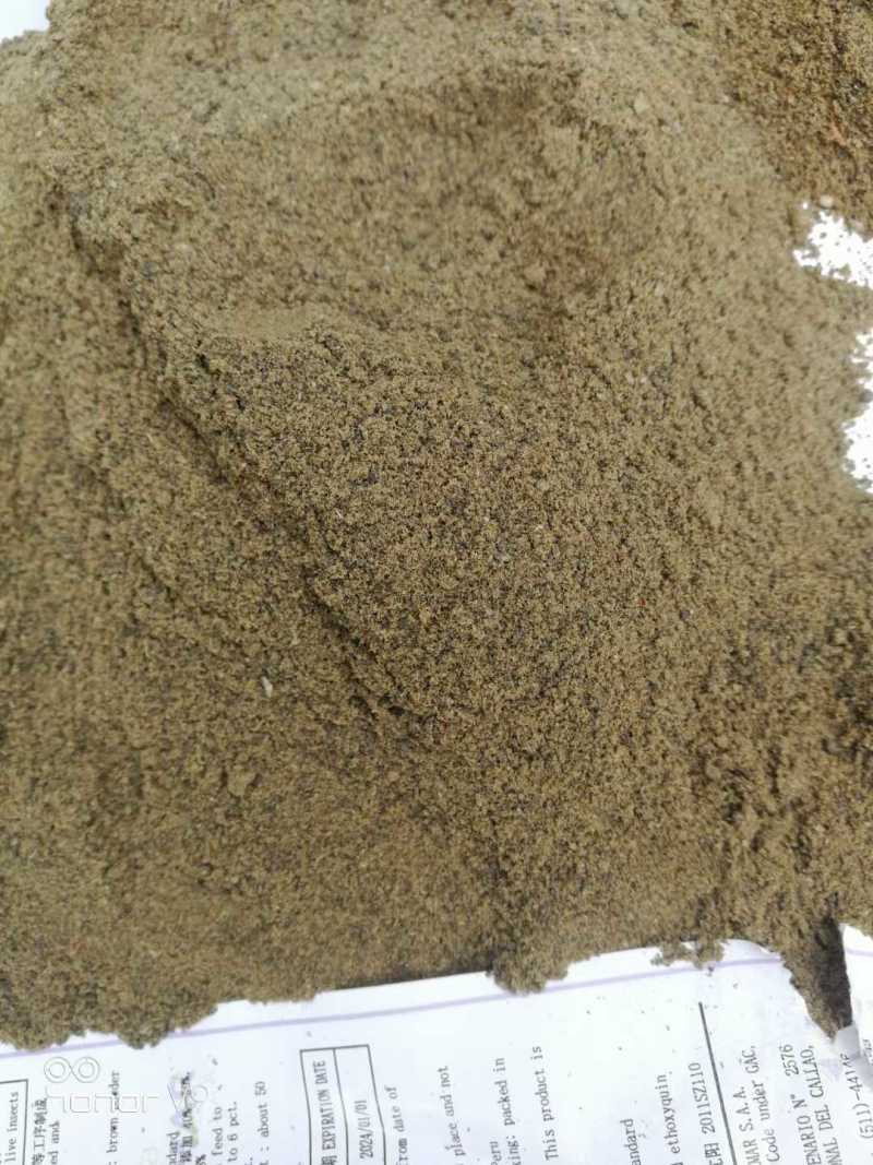 【实力】滨海鱼粉高蛋白含量一手货源量大从优可视频看货