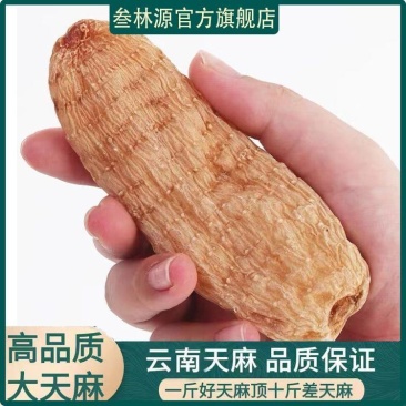 《天麻批发》云南野生小天麻正宗特级包邮正品天麻可以切片