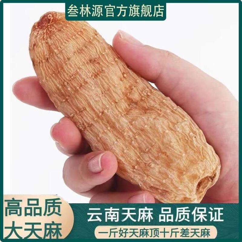 《天麻批发》云南野生小天麻正宗特级包邮正品天麻可以切片