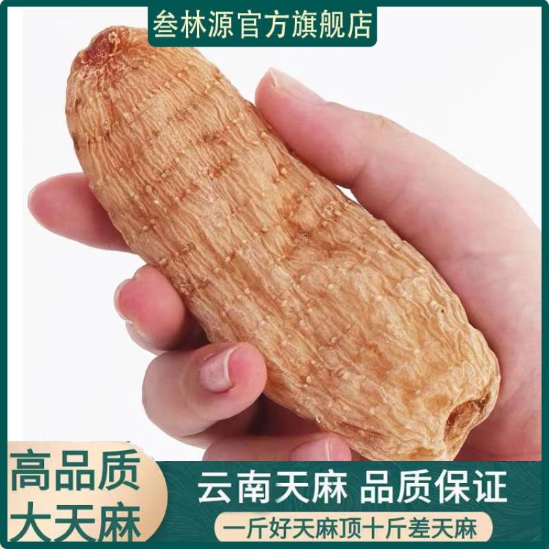 《天麻批发》云南野生小天麻正宗特级包邮正品天麻可以切片