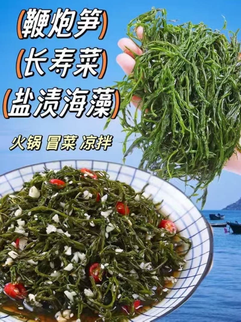 山东荣城东塘鞭炮笋（长寿菜）对接电商批发货量充足自有生产