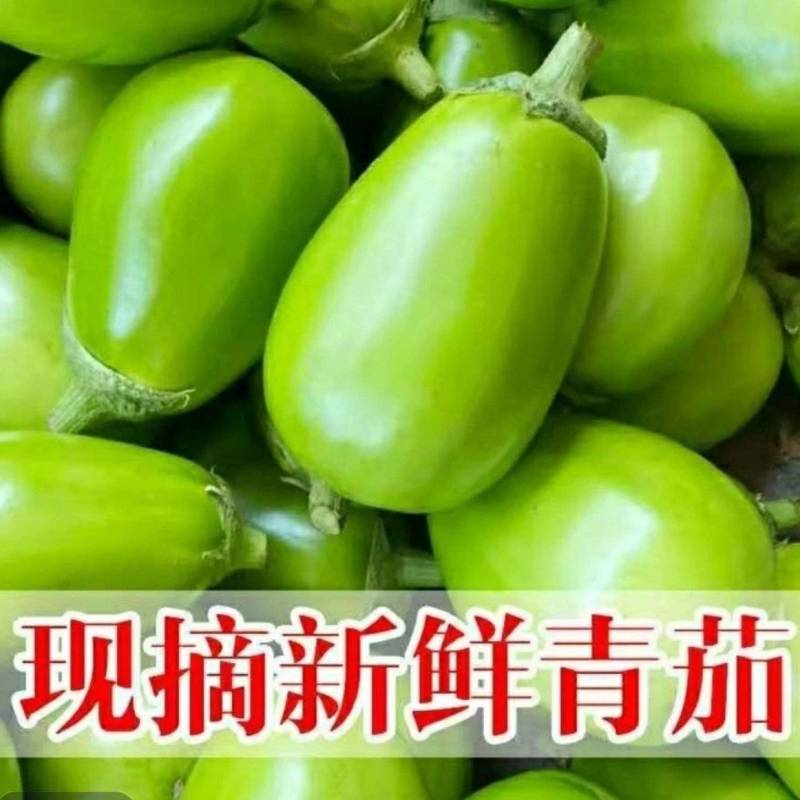 青茄，茄子，对接电商，市场，商超，一手货源
