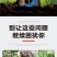 枯黄萎疫苗杀菌营养微生物菌剂枯黄萎病死苗烂根肥料