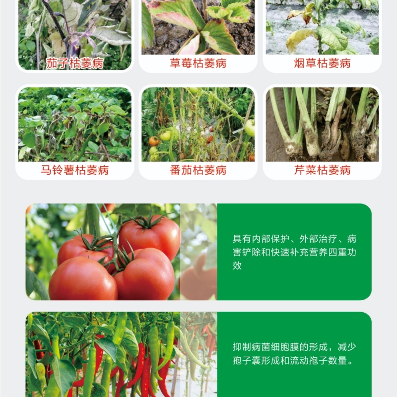 枯黄萎疫苗杀菌营养微生物菌剂枯黄萎病死苗烂根肥料