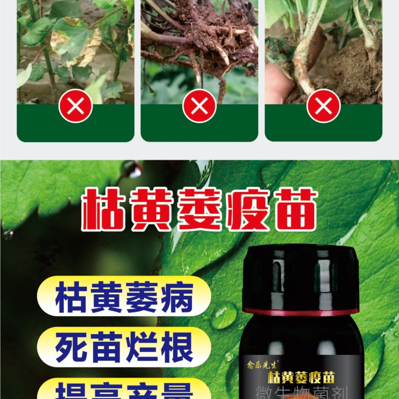 枯黄萎疫苗杀菌营养微生物菌剂枯黄萎病死苗烂根肥料