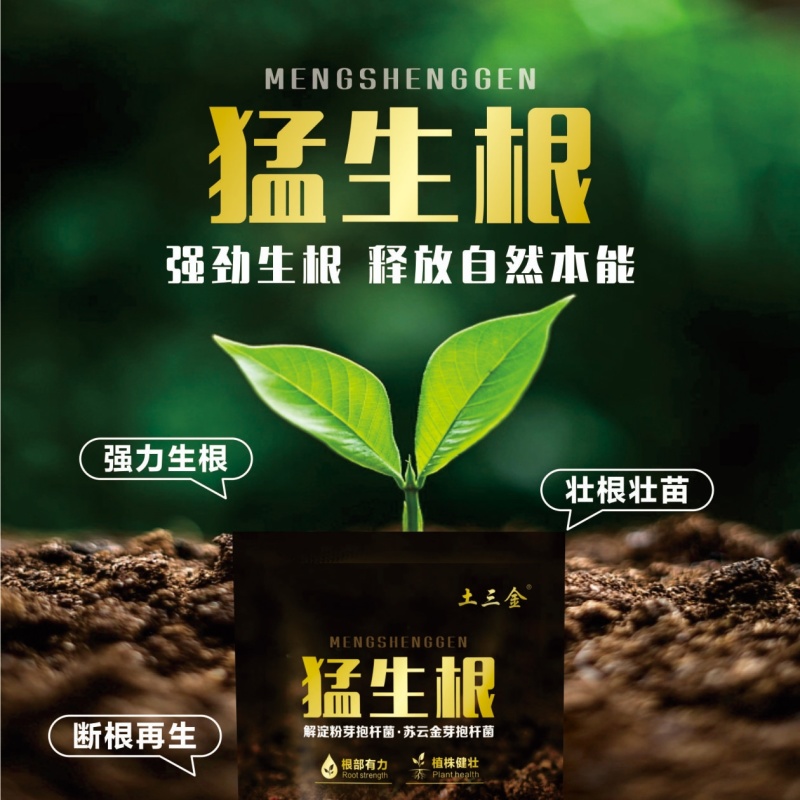猛生根微生物菌剂养根壮根抗根腐病生主根须根菌肥