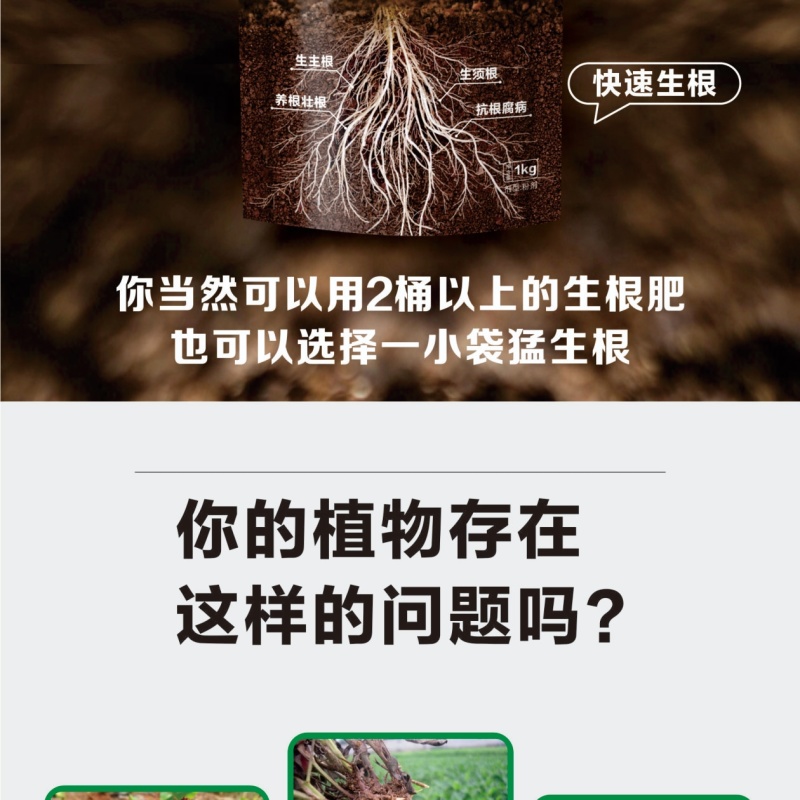 猛生根微生物菌剂养根壮根抗根腐病生主根须根菌肥