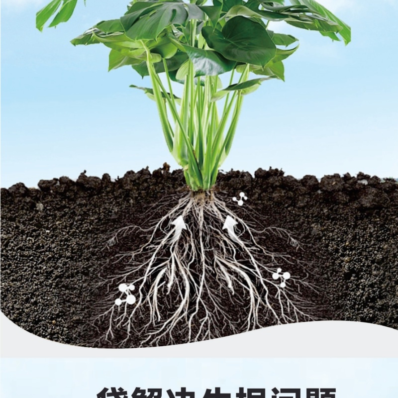 猛生根微生物菌剂养根壮根抗根腐病生主根须根菌肥