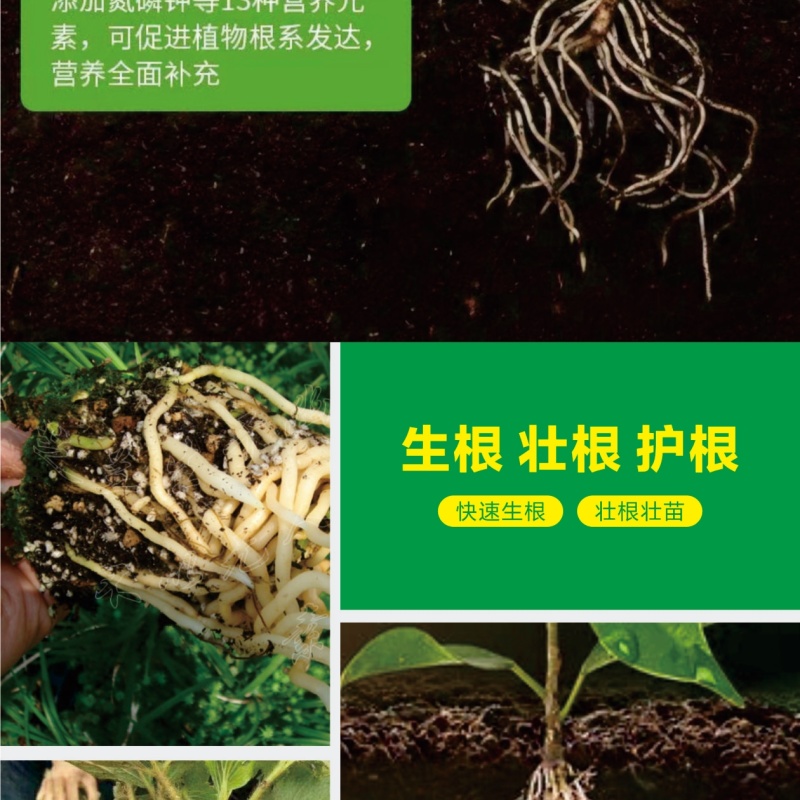 猛生根微生物菌剂养根壮根抗根腐病生主根须根菌肥