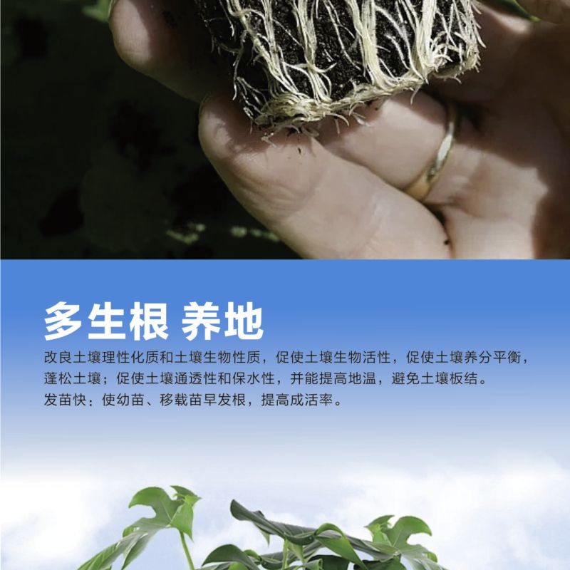 猛生根微生物菌剂养根壮根抗根腐病生主根须根菌肥