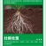 猛生根微生物菌剂养根壮根抗根腐病生主根须根菌肥