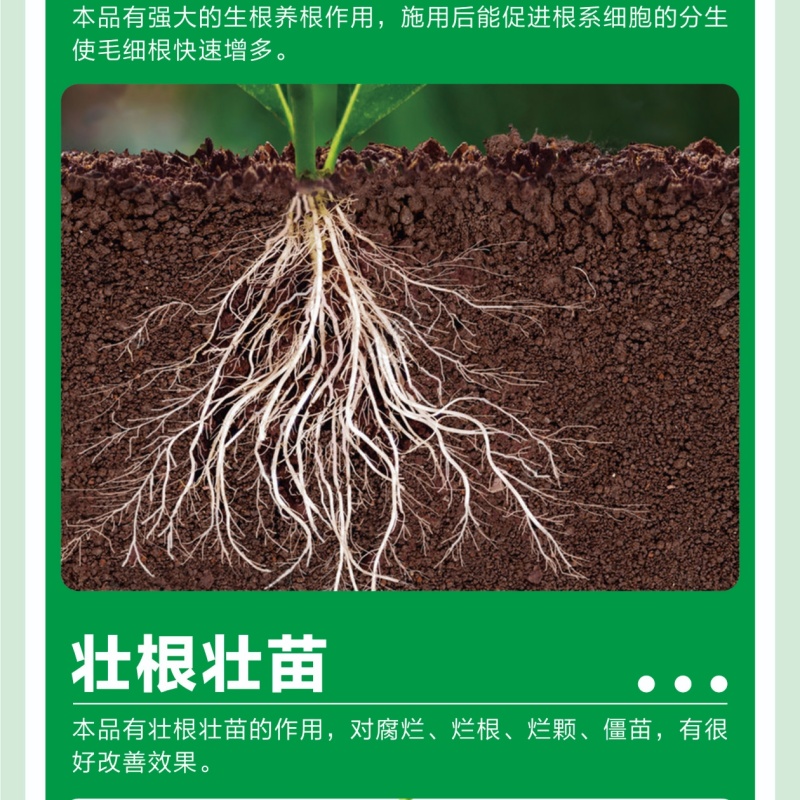 猛生根微生物菌剂养根壮根抗根腐病生主根须根菌肥