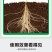 猛生根微生物菌剂养根壮根抗根腐病生主根须根菌肥