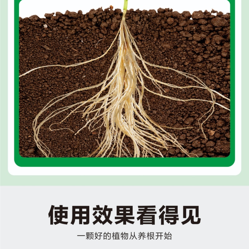 猛生根微生物菌剂养根壮根抗根腐病生主根须根菌肥