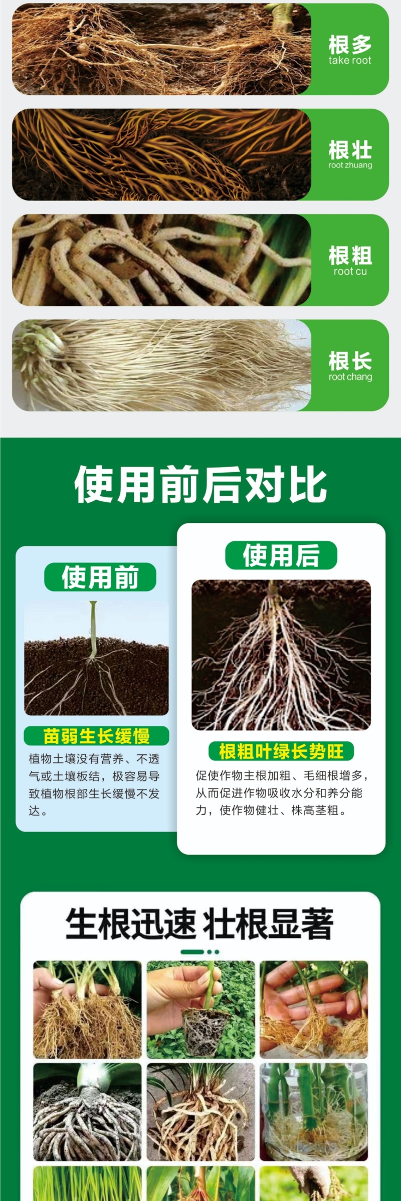 猛生根微生物菌剂养根壮根抗根腐病生主根须根菌肥