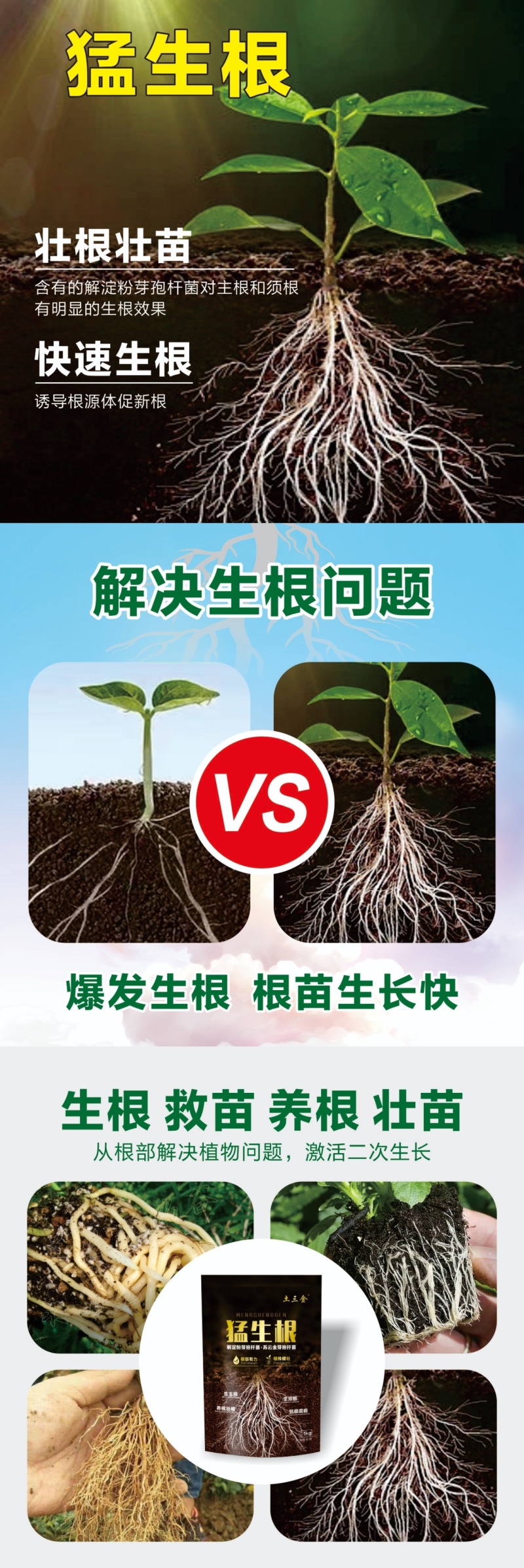 猛生根微生物菌剂养根壮根抗根腐病生主根须根菌肥