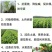 矿源黄腐酸钾有，有机水溶肥，每袋1000克，一箱20袋