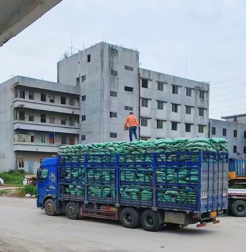 发酵腐熟松树皮松鳞栽培基质土壤改良有机质