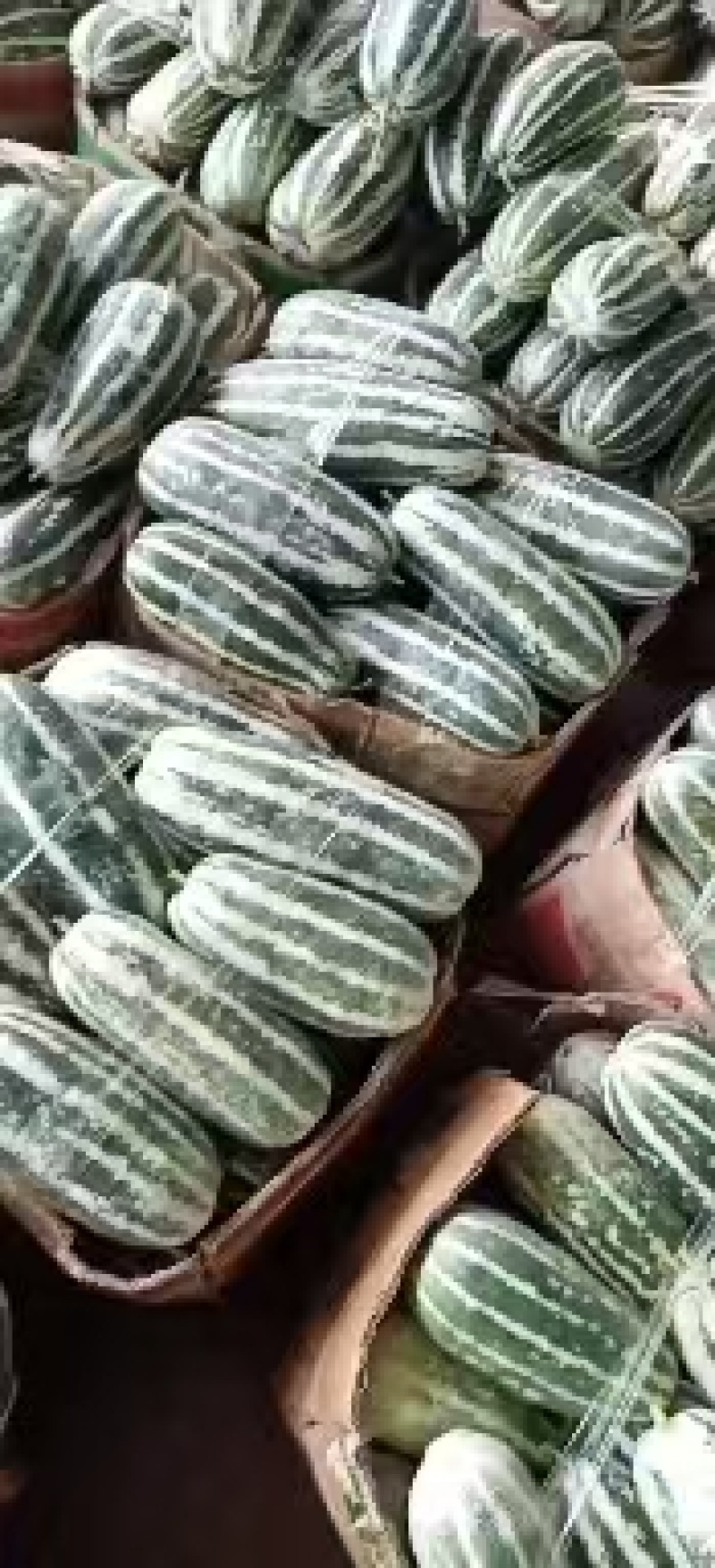 大量供应蜜露甜瓜，一手货源，欢迎新老客户前来合作