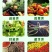生物有机肥，菌肥，微生物肥料，有机肥料，