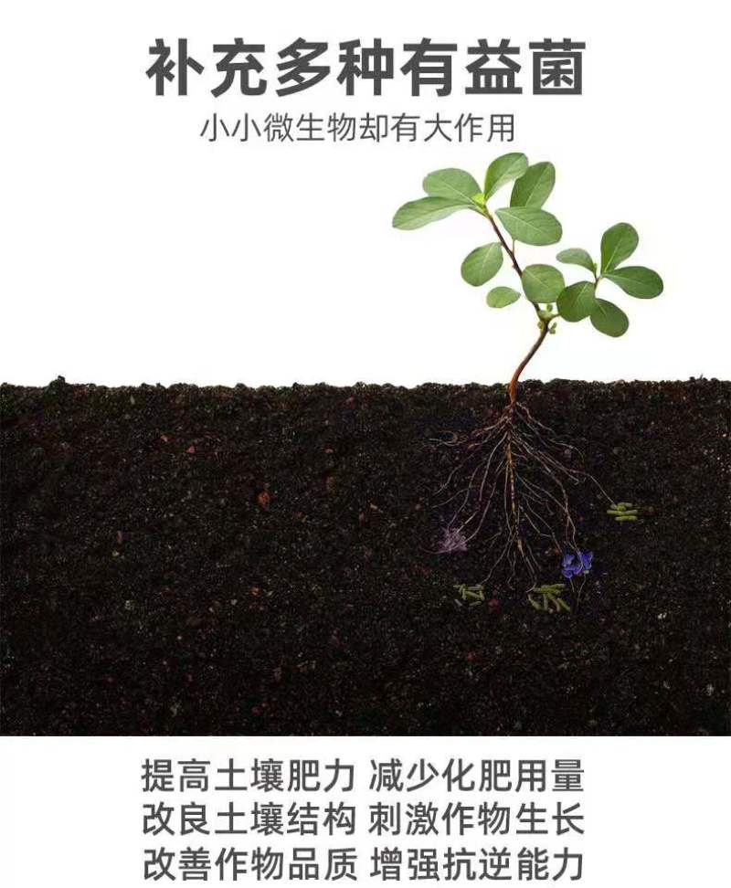 生物有机肥，菌肥，微生物肥料，有机肥料，