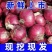 云南高山紫皮洋葱一件代发日发3万单对接各大电商社区