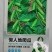 水果黄瓜种子-脆甜汁多节节有瓜生长旺盛肉嫩脆爽