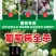 葡萄菌立清葡萄专用肥料微生物菌剂喷施肥葡萄病全杀肥