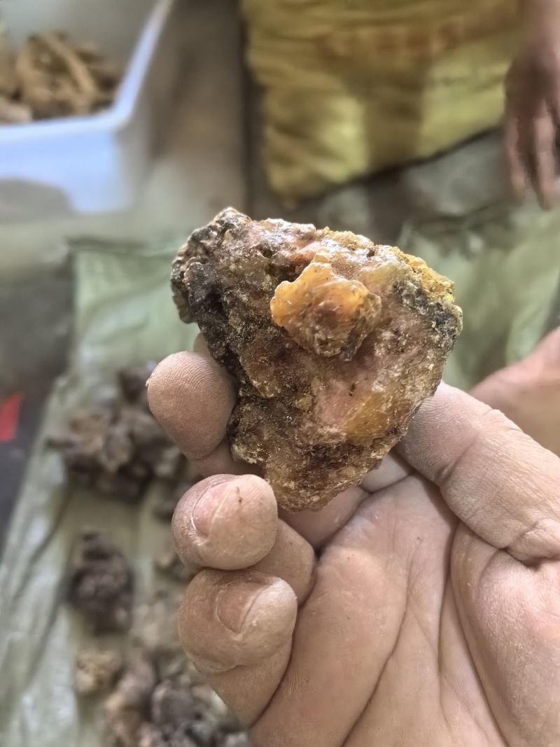 天然松脂