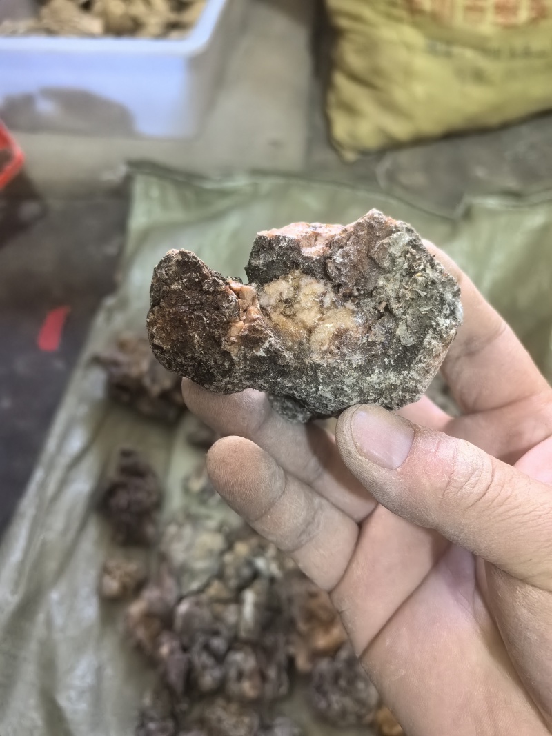 天然松脂