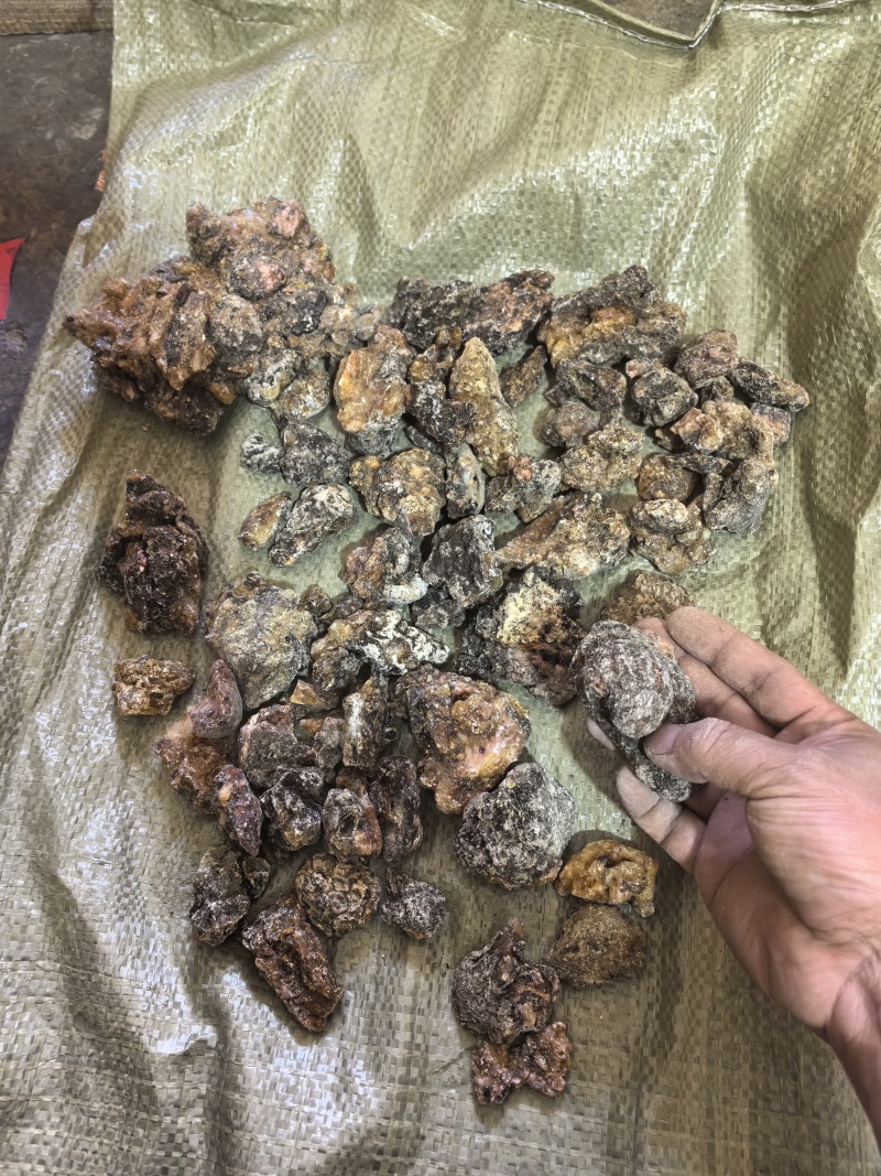 天然松脂