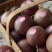 金都3号百香果(蜜桃味)8分甜,2分酸