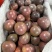 金都3号百香果(蜜桃味)8分甜,2分酸