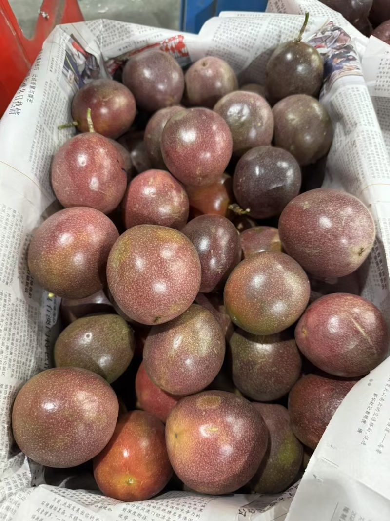 金都3号百香果(蜜桃味)8分甜,2分酸