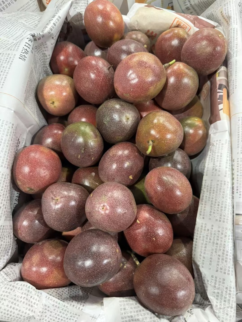 金都3号百香果(蜜桃味)8分甜,2分酸