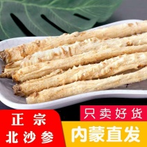 北沙参中药材批发北沙参片当季新货产地货源量大从优承