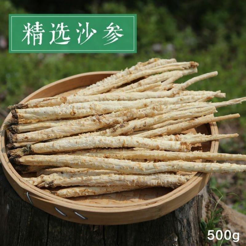 北沙参中药材批发北沙参片当季新货产地货源量大从优承