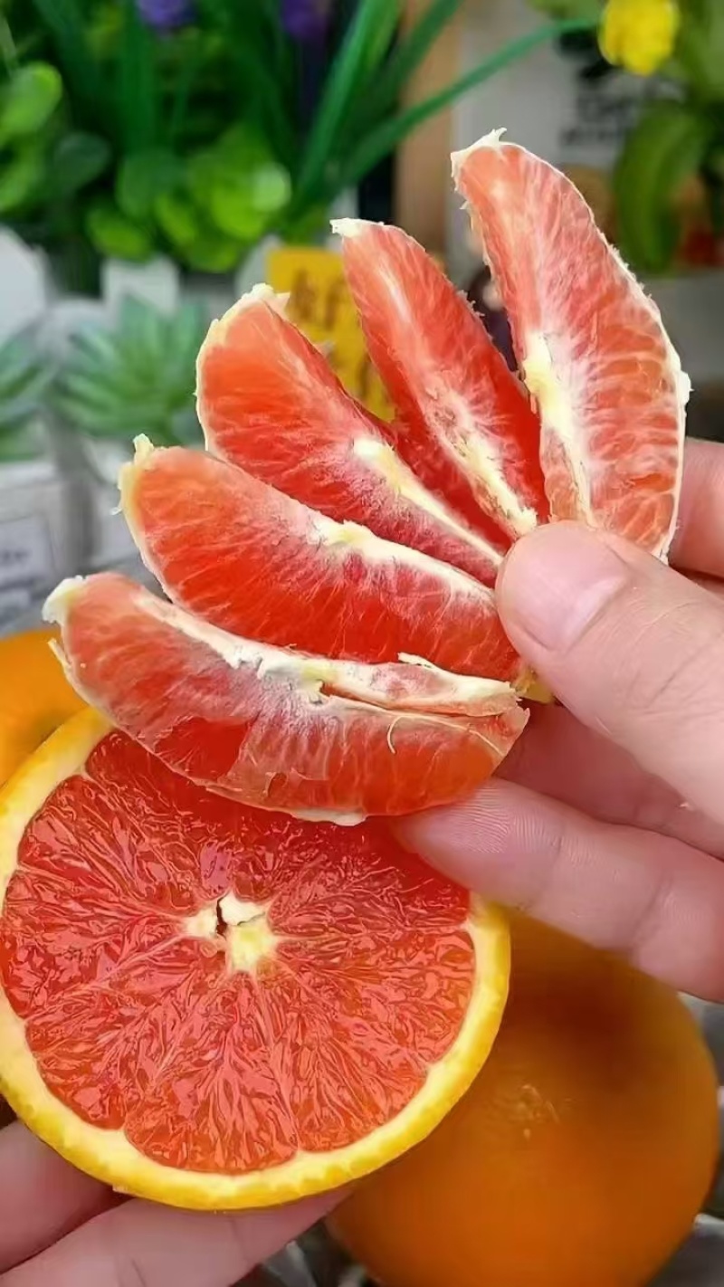 正宗秭归橙子/中华红血橙皮薄肉厚/香甜多汁/产地大量供应