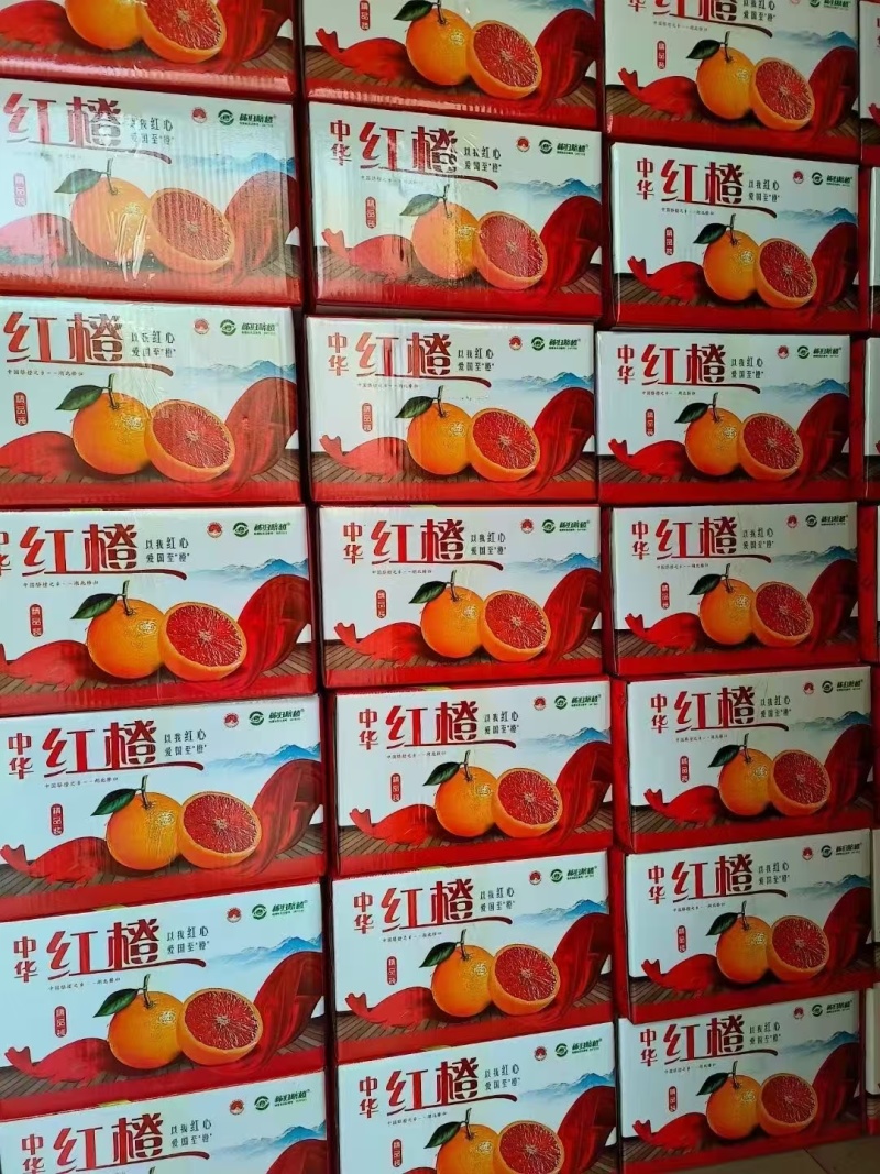 正宗秭归橙子/中华红血橙皮薄肉厚/香甜多汁/产地大量供应