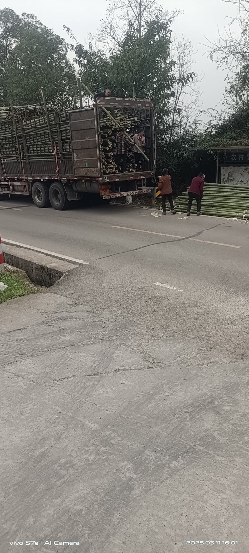 竹竿