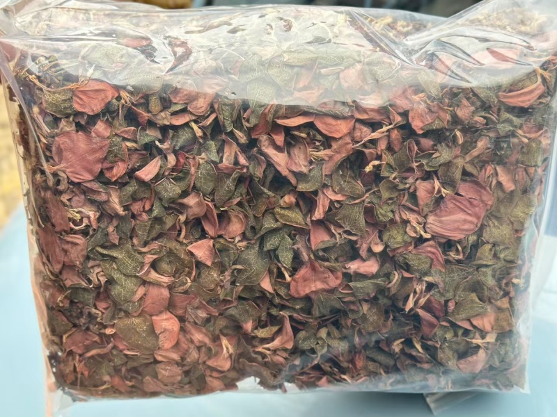 福建红霞金线莲精品整颗一斤装批发零售全国发货
