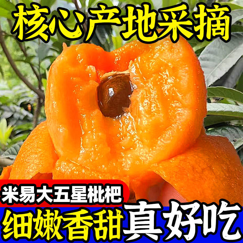 （牛商推荐）米易县枇杷新货上市大量供货