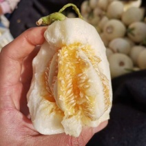 砀山小白瓜早雪甜瓜莎甜蜜白玉甜瓜商超电商代收代发