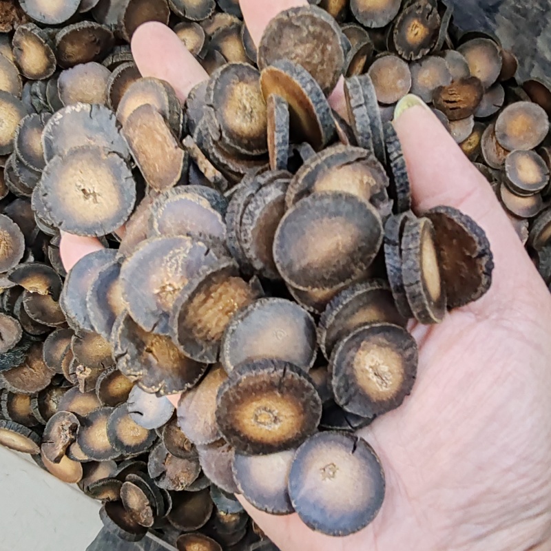 批发.化橘红片500克泡水桔红果带毛橘红茶化州橘红切片